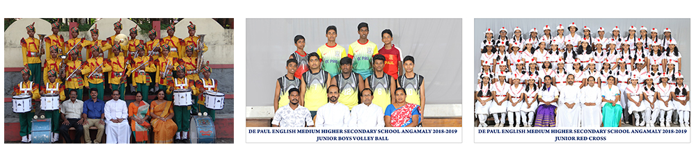 Depaul E M H S S Angamaly - Band Team, Volly Ball and Red Cross