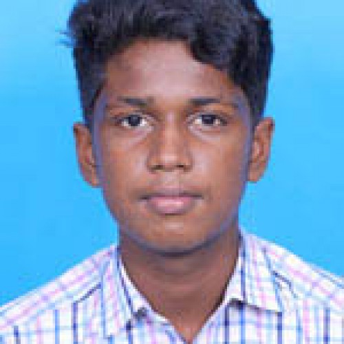 Depaul E M H S S Angamaly-Dinil Martin